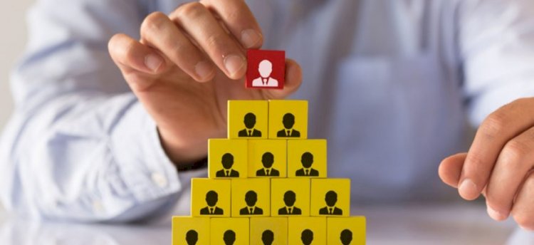 Алматыда тағы бір қаржы пирамидасы анықталды