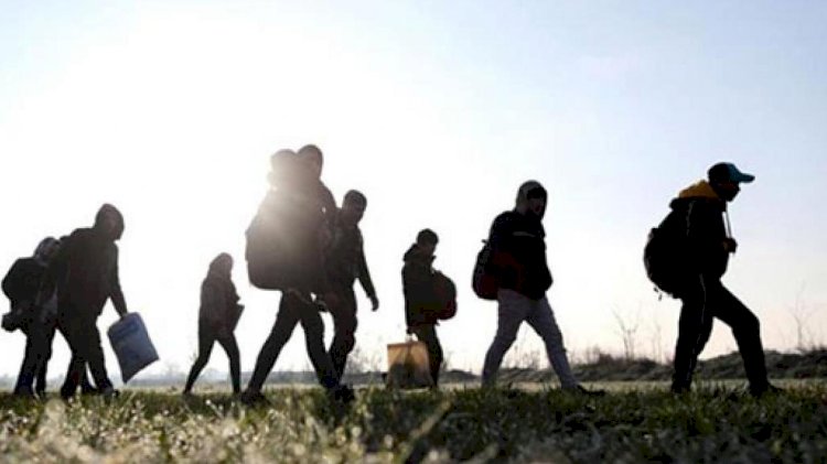 Босқын мәртебесін алғысы келетіндер тексеруден өтеді