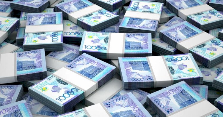 Мамандар «Зерде» холдингін тарату арқылы ақша үнемдеуге болатынын айтты