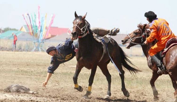 Алматы облысында көкпаршылар 10 тәулікке қамалды