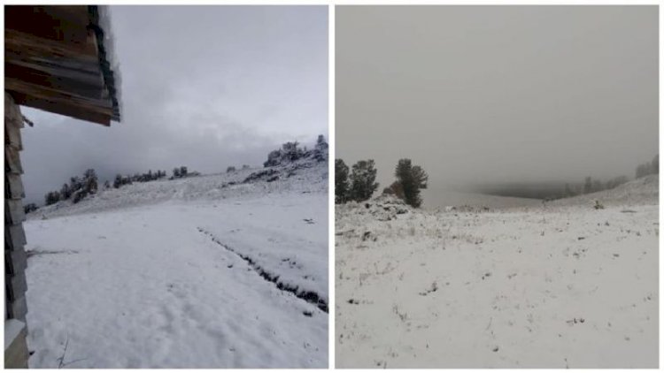 Еліміздің шығысында алғашқы қар жауды