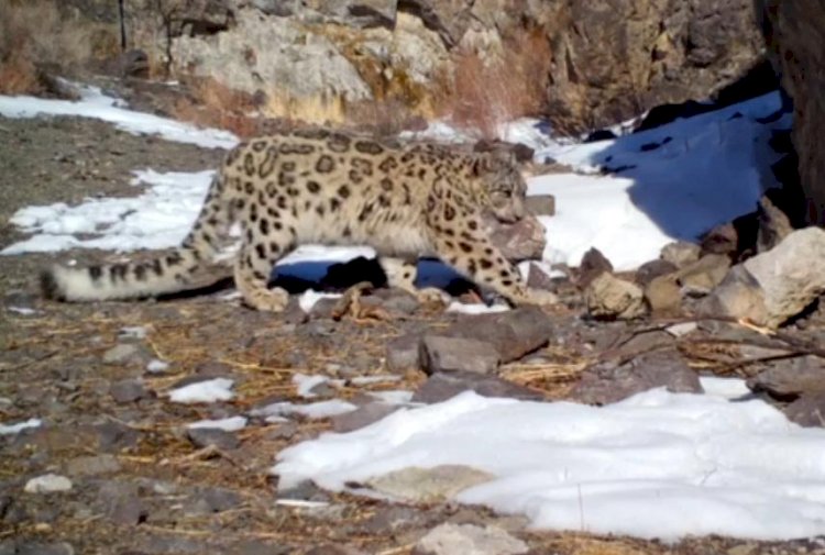 Елімізде 190-ға жуық қана қар барысы қалыпты