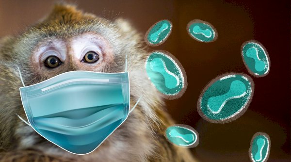 Маймыл шешегі вирусы бүкіл әлемде тарап жатыр