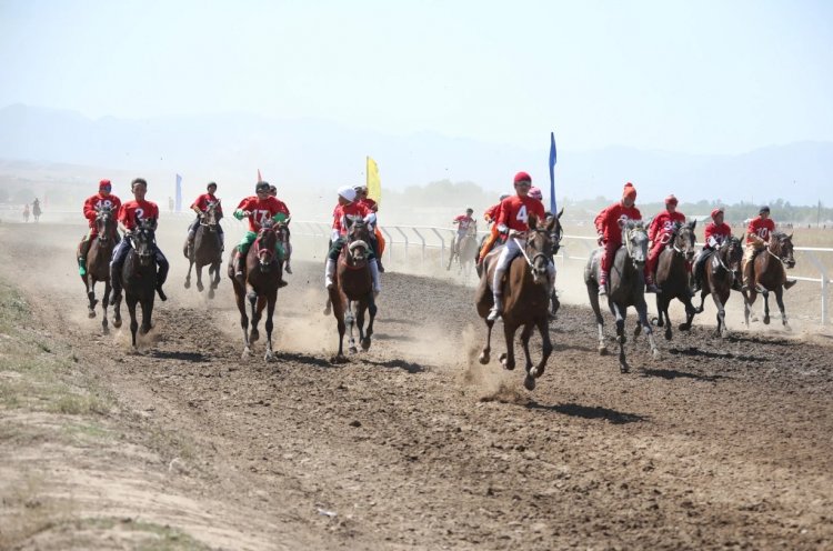 Елімізде 15-30 қыркүйек күндері аралығында көпкүндік «бәйге-марафон» өткізіледі