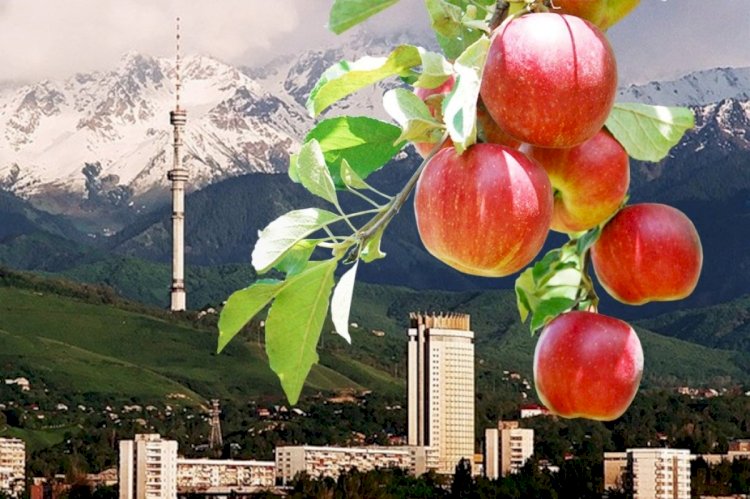 Алматыда Қала күні тойланады