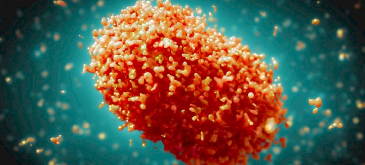 Маймыл шешегі тұқым арқылы берілуі мүмкін