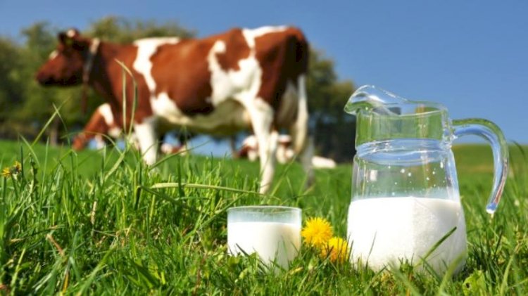 Жаңа экономикалық саясат үлкен міндеттер жүктейді