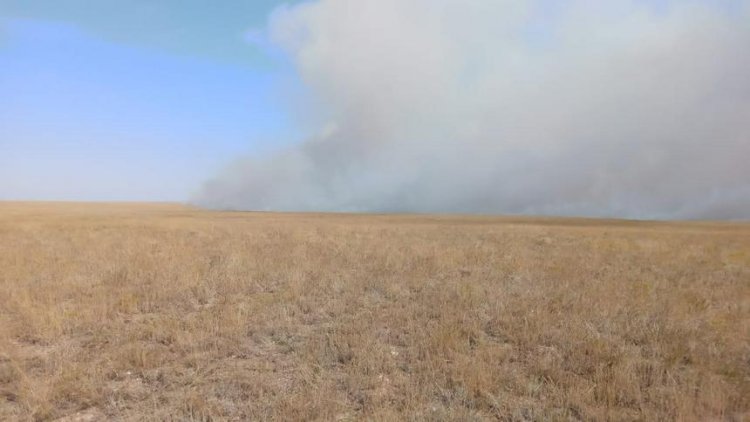 Батыс Қазақстанда далалық жер өртеніп жатыр