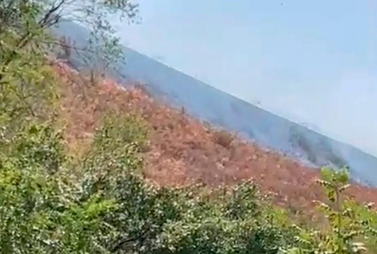 Алматыдағы тау бөктерінде қураған шөп өртеніп жатыр