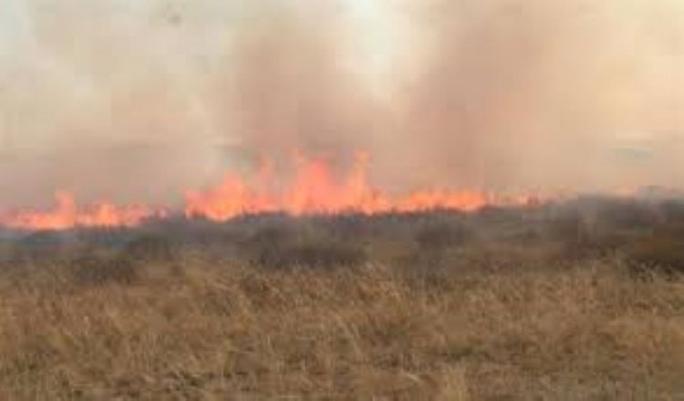 Кеңсай зиратындағы өртке қатысты қылмыстық іс қозғалды