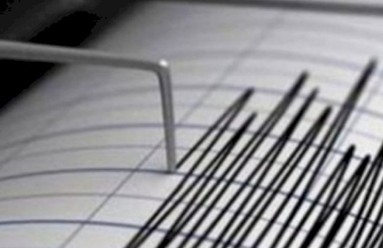 Алматыда 2 балдық жер сілкінісі сезілді