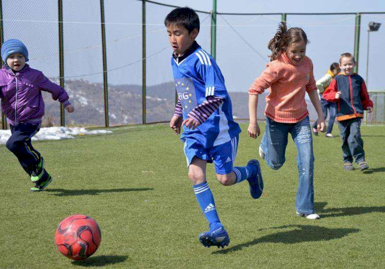 Artsport бағдарламасы аясында қылмыстық іс қозғалды