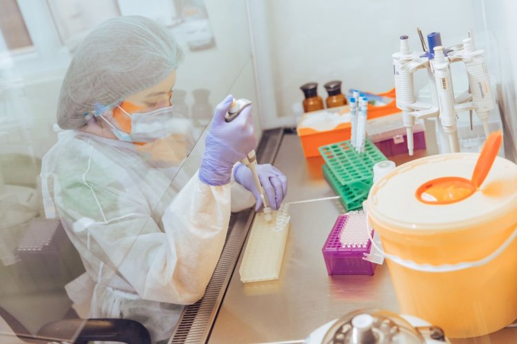 Опасыздық тесті, баланың жынысы және генетикалық паспорт