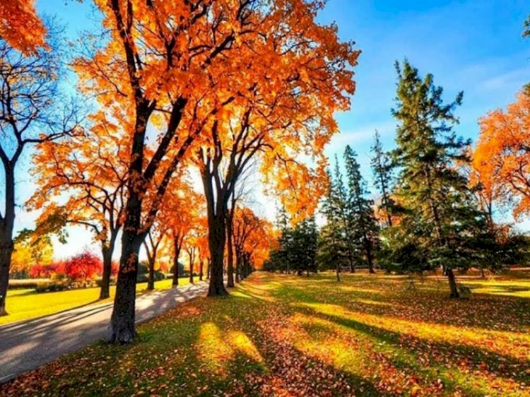 Қазақстанның басым бөлігінде ауа райы жауын-шашынсыз болады