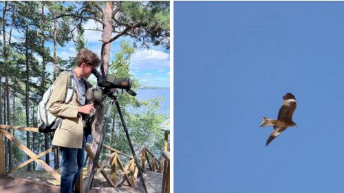 «Бурабайдағы» құстардың популяциясын зерттеуге неміс ғалымы арнайы шақырылған