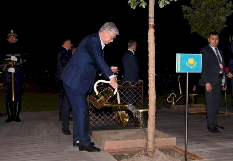 Тоқаев ШЫҰ мүше-мемлекеттер басшыларымен бірге ағаш отырғызды
