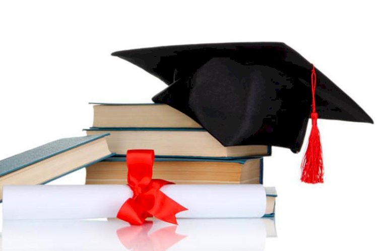 Елде PhD докторы дипломы заңсыз беріліп келген