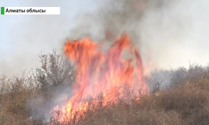 Алматы облысында тау бөктері өртеніп, елдімекенге қауіп төнді