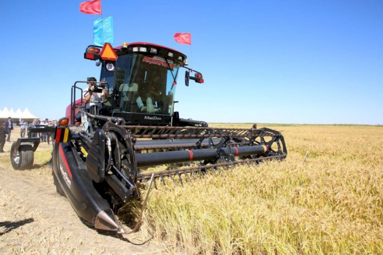 Биыл егін былтырғыдан бітік шықты