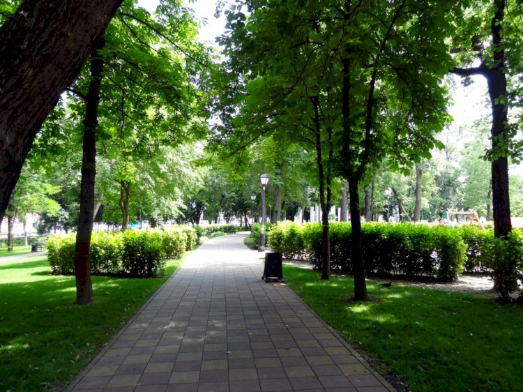 Алдағы жылы Журналистер гүлзары абаттандырылады