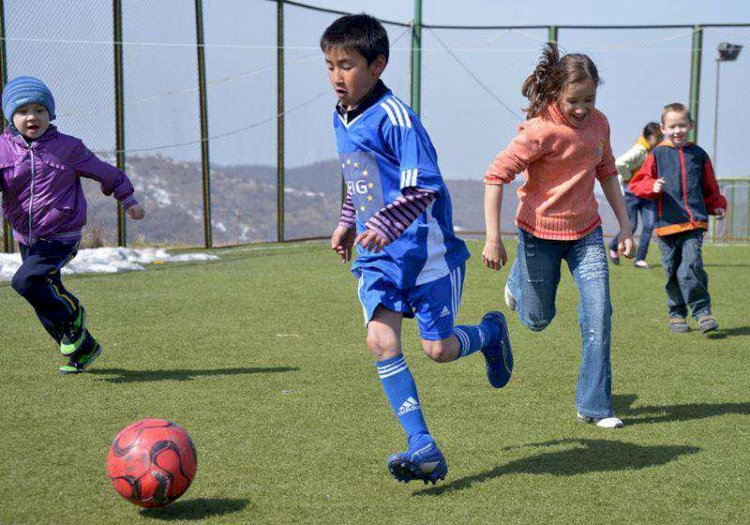 ArtSport бағдарламасы бойынша бірнеше қылмыстық іс қозғалуы мүмкін