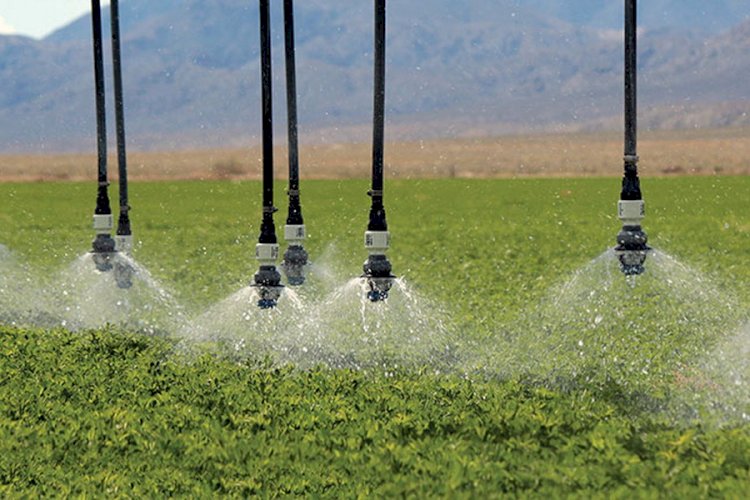 4 мың гектарға жуық суармалы жер ауыл шаруашылығы айналымына енгізілмеген