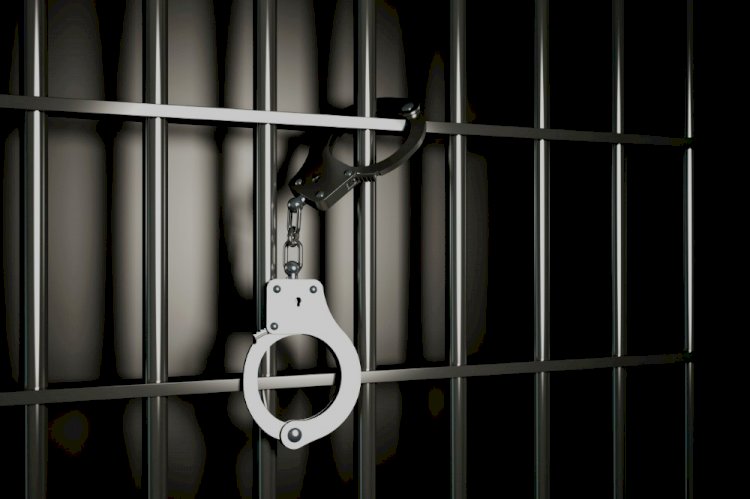 Алматыда аса ірі көлемдегі есірткі контрабандасының жолы кесілді