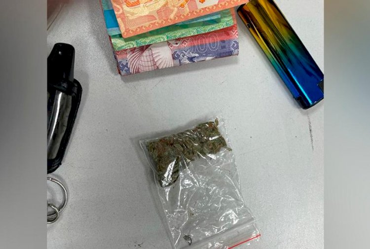 Ресей азаматы шекарадан есірткі алып өтпек болды