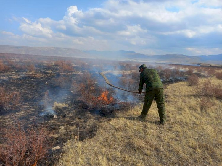 Шығыс Қазақстанда қураған шөп өртеніп, 2 мың гектар жер жанып кетті