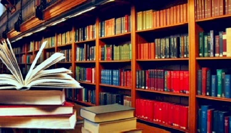 Ғылыми жоба авторларының табысы қанша