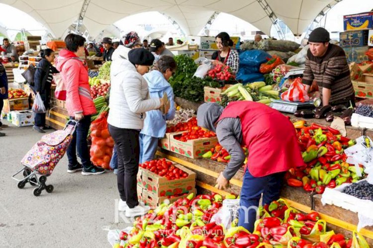 Алматыда Түркістан облысының ауылшаруашылық жәрмеңкесі өткізіледі