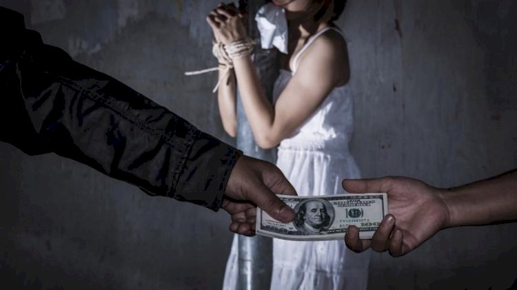 Қазақстанда адам саудасына қатысты үш қылмыстық топ анықталды