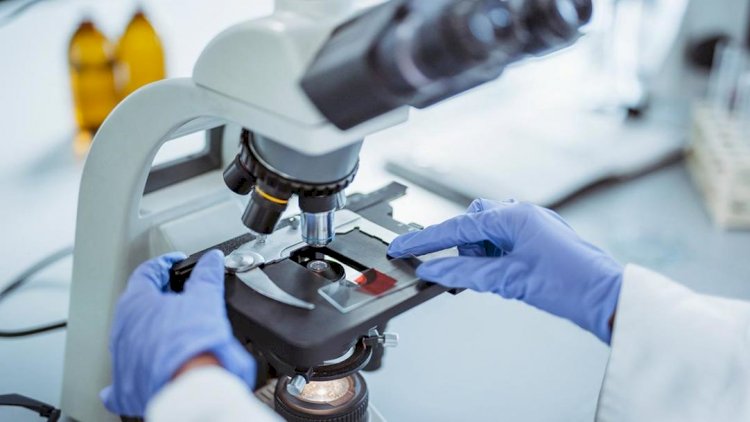 Мыңнан астам ғалым ғылымды тастап кеткен