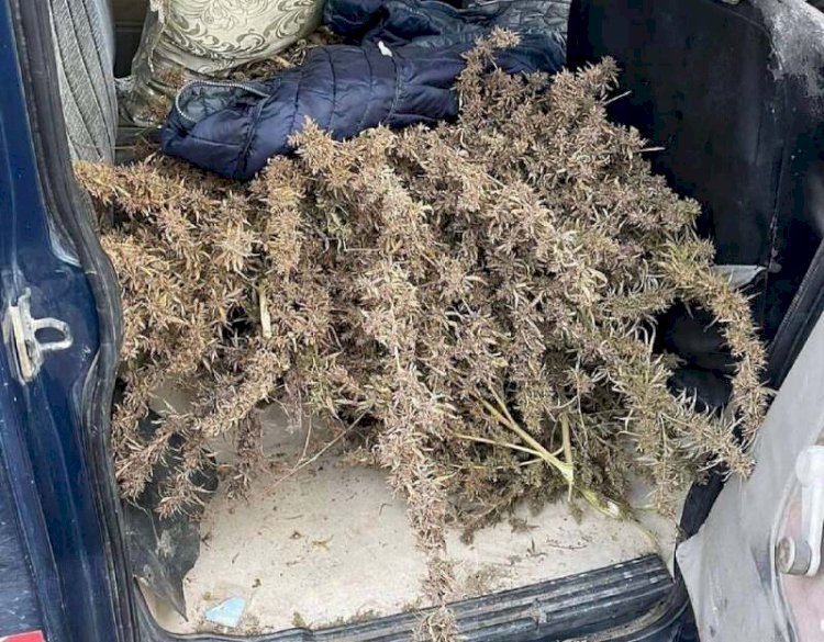 Алматы облысында есірткі сақтаған екі ер адам ұсталды