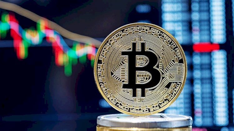 Әлемдегі екінші FTX криптовалюта биржасы банкрот екенін жариялады