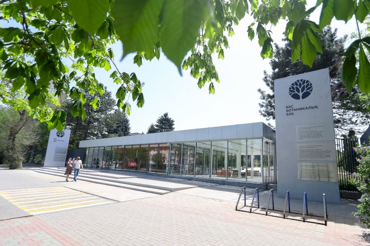 Алматыдағы ботаникалық бақ қысқы маусымға ауысты