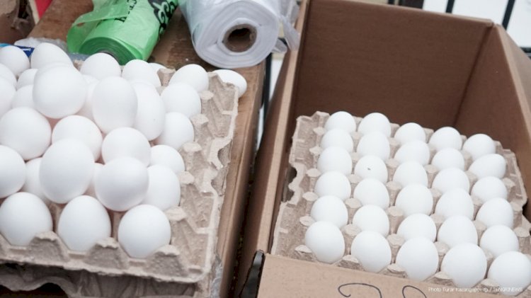 Елімізде жұмыртқа бағасы өсті