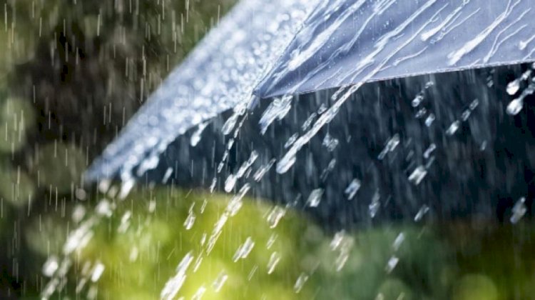 Құтқарушылар алматылықтарды тауға шығудан бас тартуға шақырды