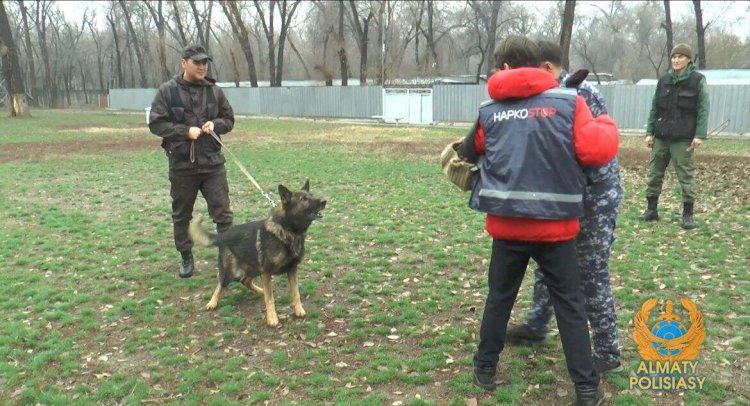 Алматы полицейлері  нашақорлыққа қарсы науқан өткізді