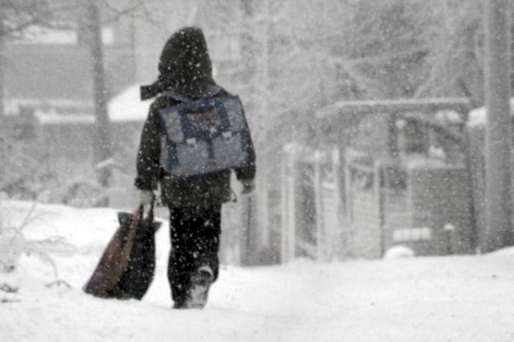 Алматыда оқушылар қашықтан оқуға көшеді