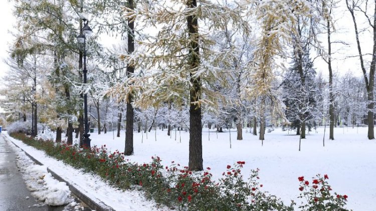 Қазақстан аумағының басым бөлігінде құбылмалы ауа райы сақталады