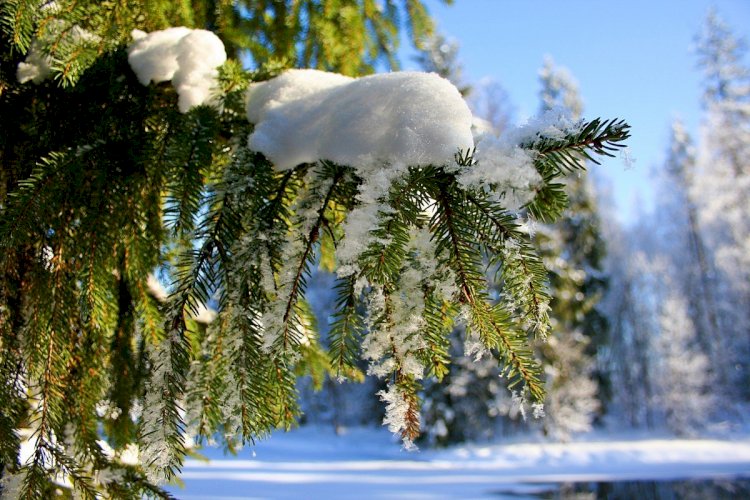 Аңыраған желі, азынаған бораны бар