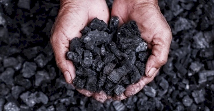 Көмір маңызды тауарлар тізіміне енгізіледі