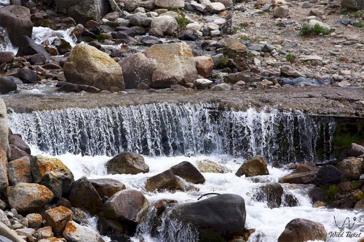 Кіші Алматы өзенінің жоғары бөлігі мемлекет меншігіне қайтарылуы мүмкін