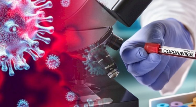 Тағы 233 адамнан коронавирус инфекциясы табылды