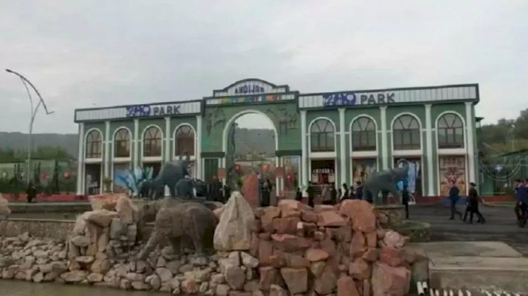 Өзбекстанда хайуанаттар бағының қызметкері аюдың шабуылынан мерт болды