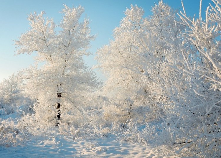 Ертең еліміздің біраз бөлігінде қатты аяз болады