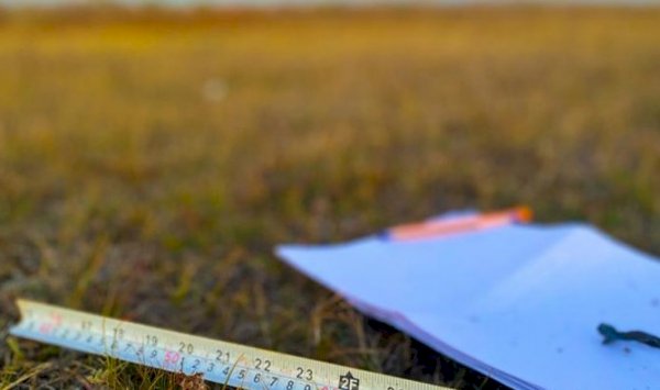 Мемлекетке қайтарылған жер учаскелері болашақта аукционға шығарылады