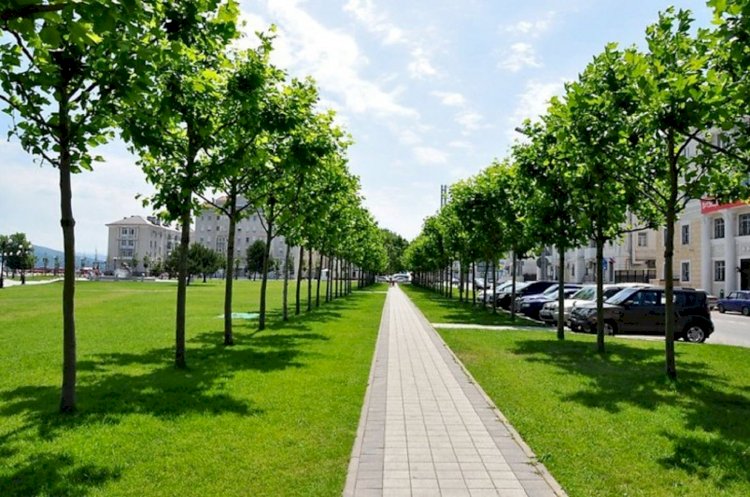 Алматыда Жасыл желектерді  ұстау және қорғау ережелері әзірленді