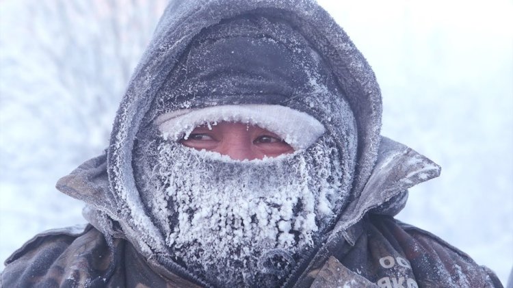 Сахада сақылдаған сары аяз